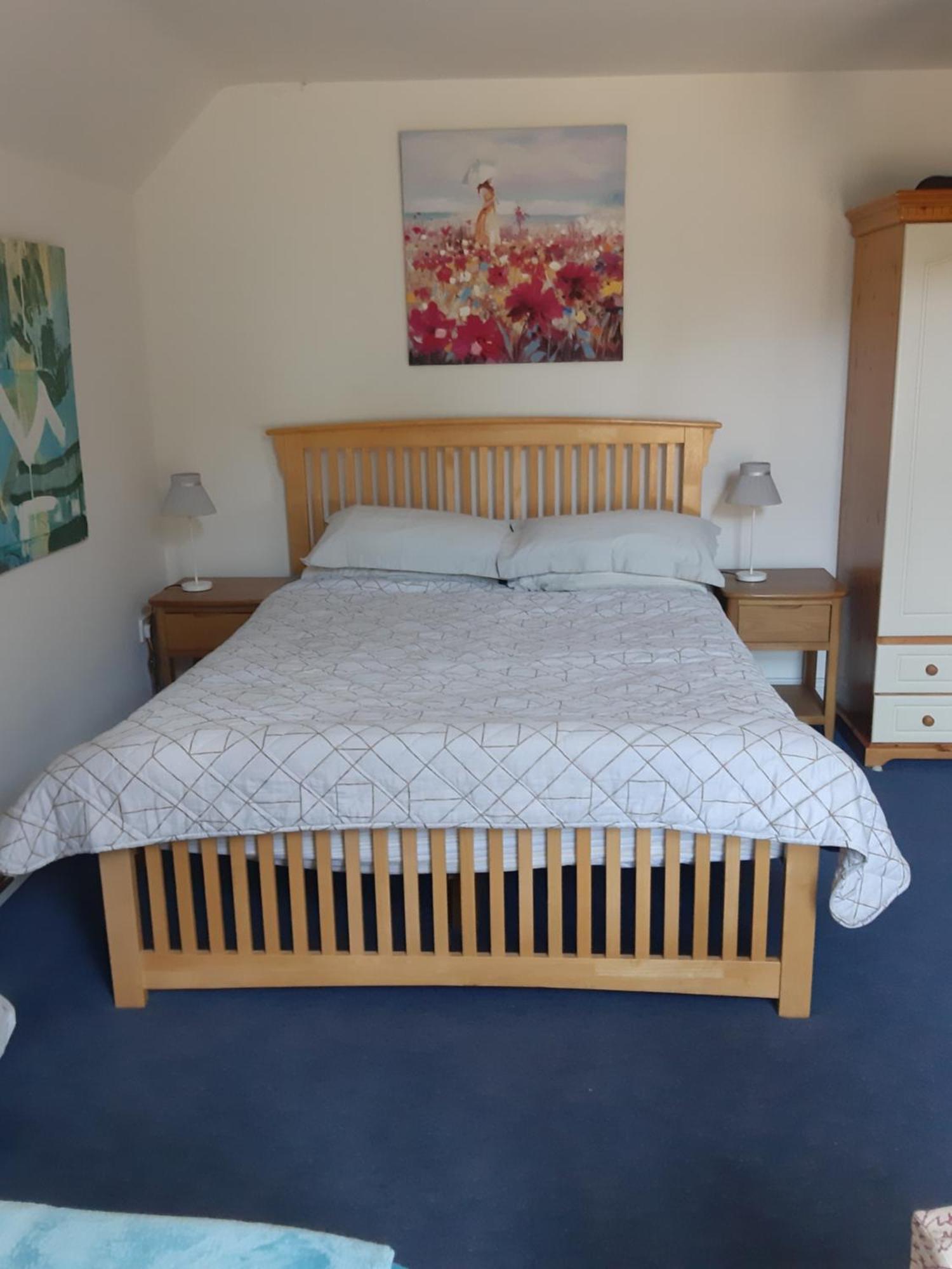 Kyleard Ryan Bed & Breakfast Monasterevin Exterior photo